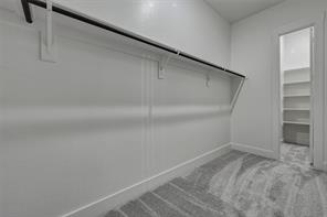 441 Texas Sage Trail - Photo 24