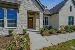 441 Texas Sage Trail - Photo 8