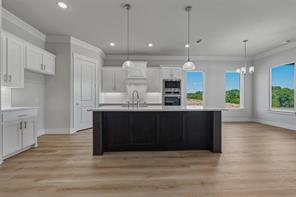 441 Texas Sage Trail - Photo 9