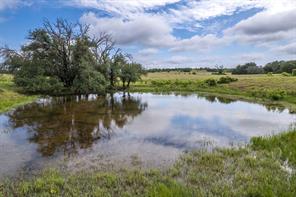 1665 Farm to Market 1047 - Photo 19