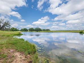 1665 Farm to Market 1047 - Photo 4