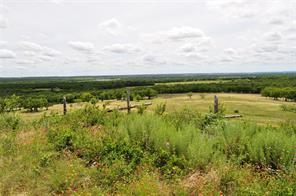 1849 Two Bush Road - Photo 1