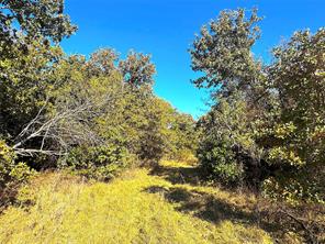 1849 Two Bush Road - Photo 12