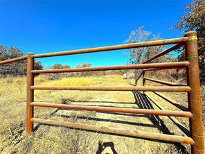 1849 Two Bush Road - Photo 13
