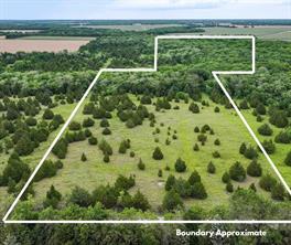 6540 County Road 4813 - Photo 1