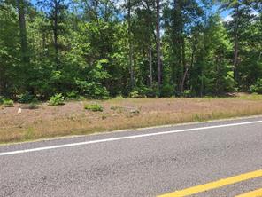 tbd fm 2120 Highway - Photo 1