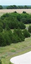 tbv Evergreen Way - Photo 1