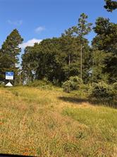 0000 W State Highway 294 - Photo 1