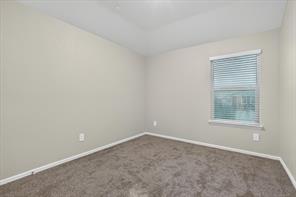 4716 Stunning Pathway - Photo 17