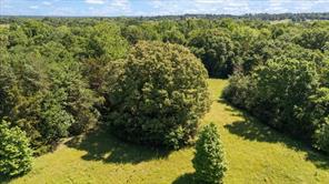 279 County Road 2395 - Photo 11