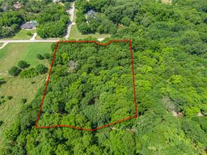 TBD Oak Tree - Photo 1