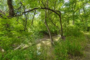 TBD Oak Tree - Photo 10