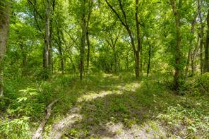 TBD Oak Tree - Photo 11