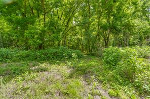 TBD Oak Tree - Photo 12