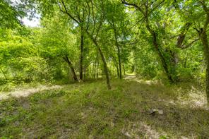 TBD Oak Tree - Photo 13