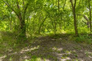 TBD Oak Tree - Photo 14