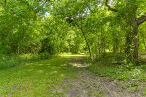 TBD Oak Tree - Photo 15