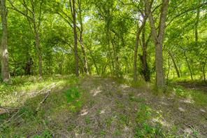 TBD Oak Tree - Photo 17