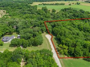 TBD Oak Tree - Photo 2
