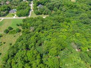 TBD Oak Tree - Photo 27