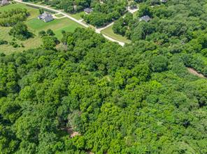 TBD Oak Tree - Photo 29