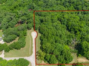 TBD Oak Tree - Photo 3