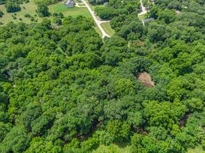 TBD Oak Tree - Photo 30