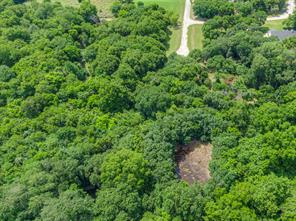 TBD Oak Tree - Photo 31