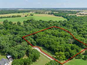 TBD Oak Tree - Photo 4