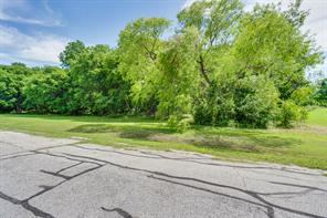 TBD Oak Tree - Photo 5