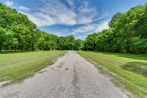 TBD Oak Tree - Photo 6