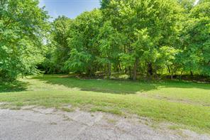 TBD Oak Tree - Photo 8