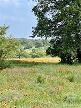 660 FM 203 - Photo 14