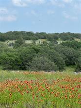 660 FM 203 - Photo 15