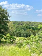 660 FM 203 - Photo 16