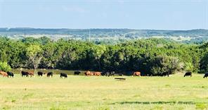 660 FM 203 - Photo 18