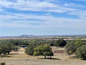 660 FM 203 - Photo 3