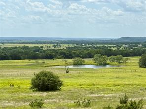 660 FM 203 - Photo 7