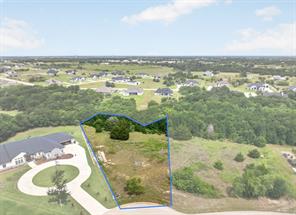 4174 weeping oak - Photo 1