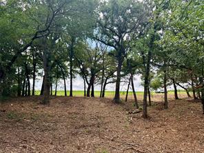 TBD +/- 10 ACRES FM 309 - Photo 1