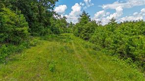 000 Avinger Cutoff Road - Photo 11
