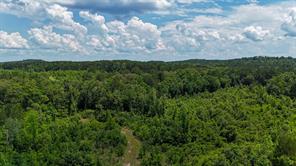 000 Avinger Cutoff Road - Photo 12