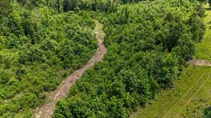 000 Avinger Cutoff Road - Photo 13
