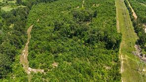 000 Avinger Cutoff Road - Photo 15