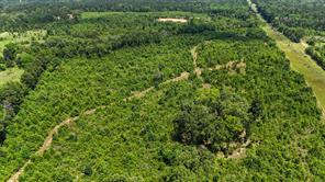 000 Avinger Cutoff Road - Photo 16