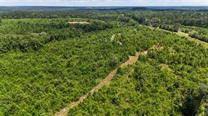 000 Avinger Cutoff Road - Photo 17