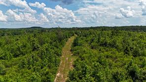 000 Avinger Cutoff Road - Photo 18