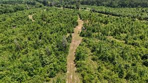 000 Avinger Cutoff Road - Photo 19