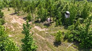 000 Avinger Cutoff Road - Photo 20
