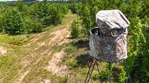000 Avinger Cutoff Road - Photo 21